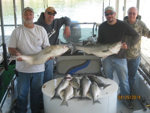 Nice Striped Bass